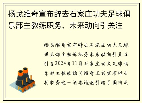 扬戈维奇宣布辞去石家庄功夫足球俱乐部主教练职务，未来动向引关注