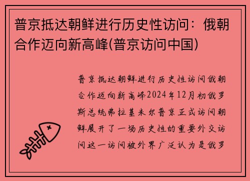 普京抵达朝鲜进行历史性访问：俄朝合作迈向新高峰(普京访问中国)